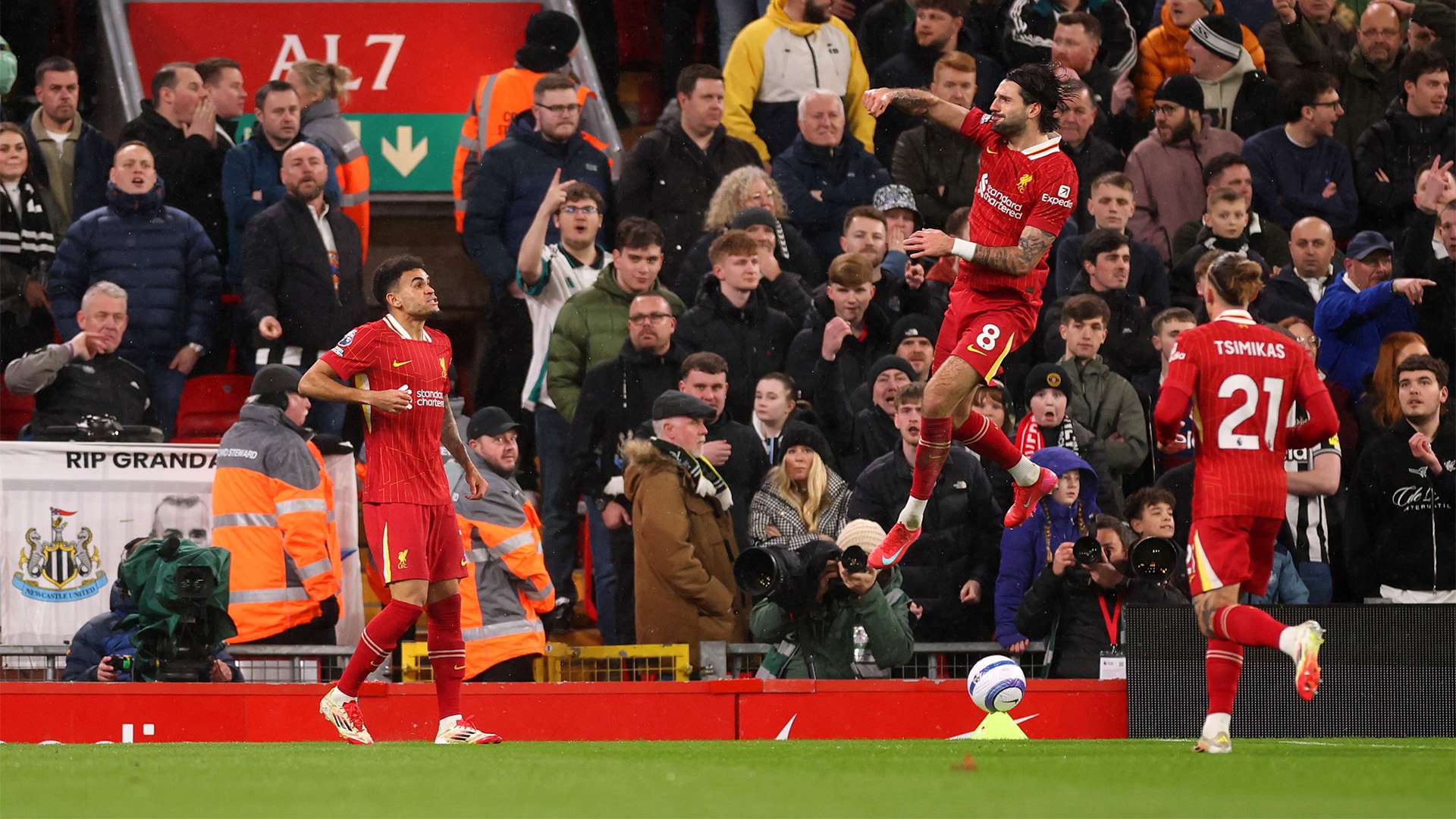 裁判队伍的 裁判队伍的